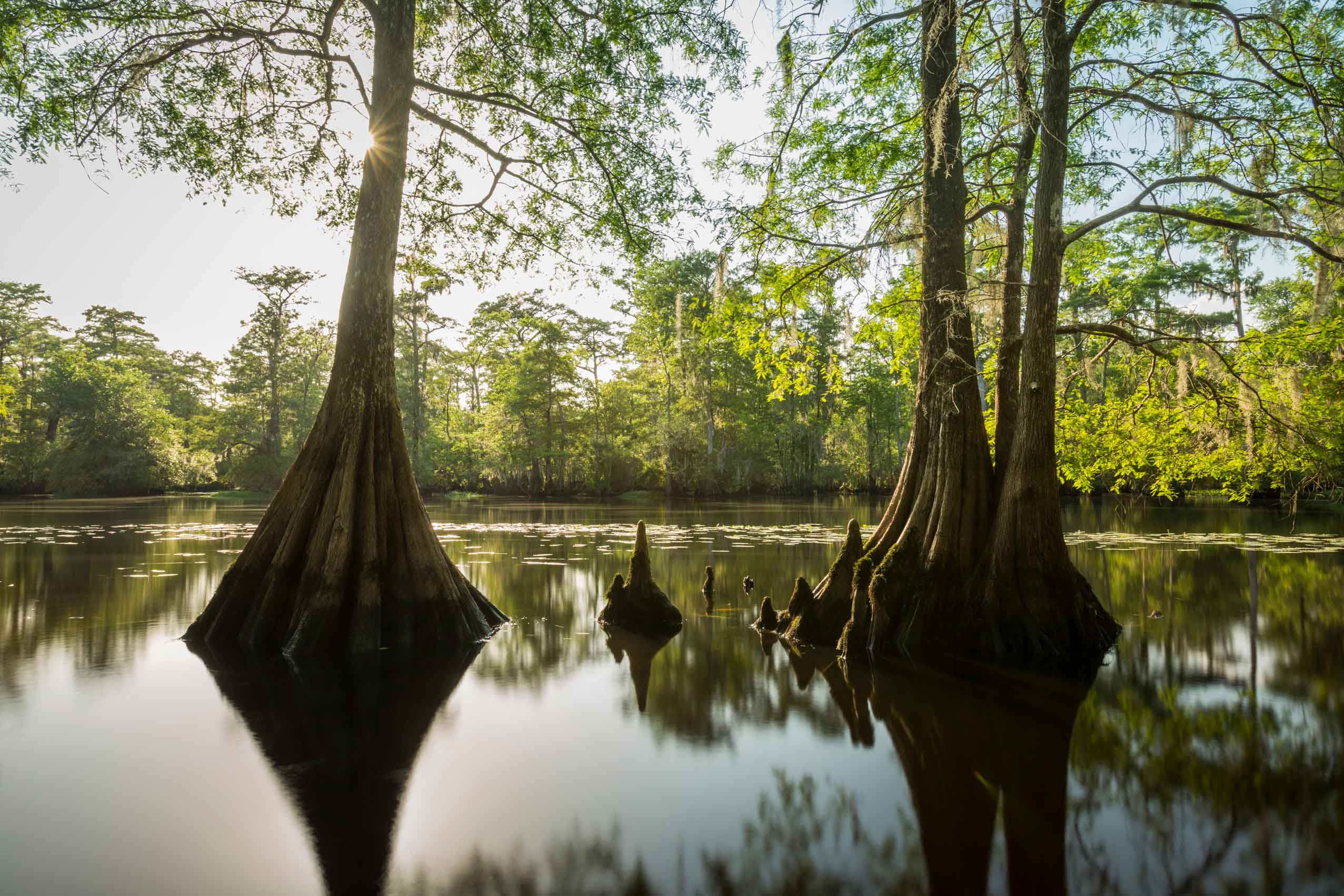 Test U.S. Endowment for Forestry & Communities, Inc.