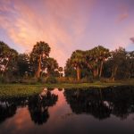 US Endowment image by Mac Stone