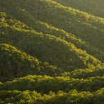 Rolling hills and cove forests in Jones Gap State Park