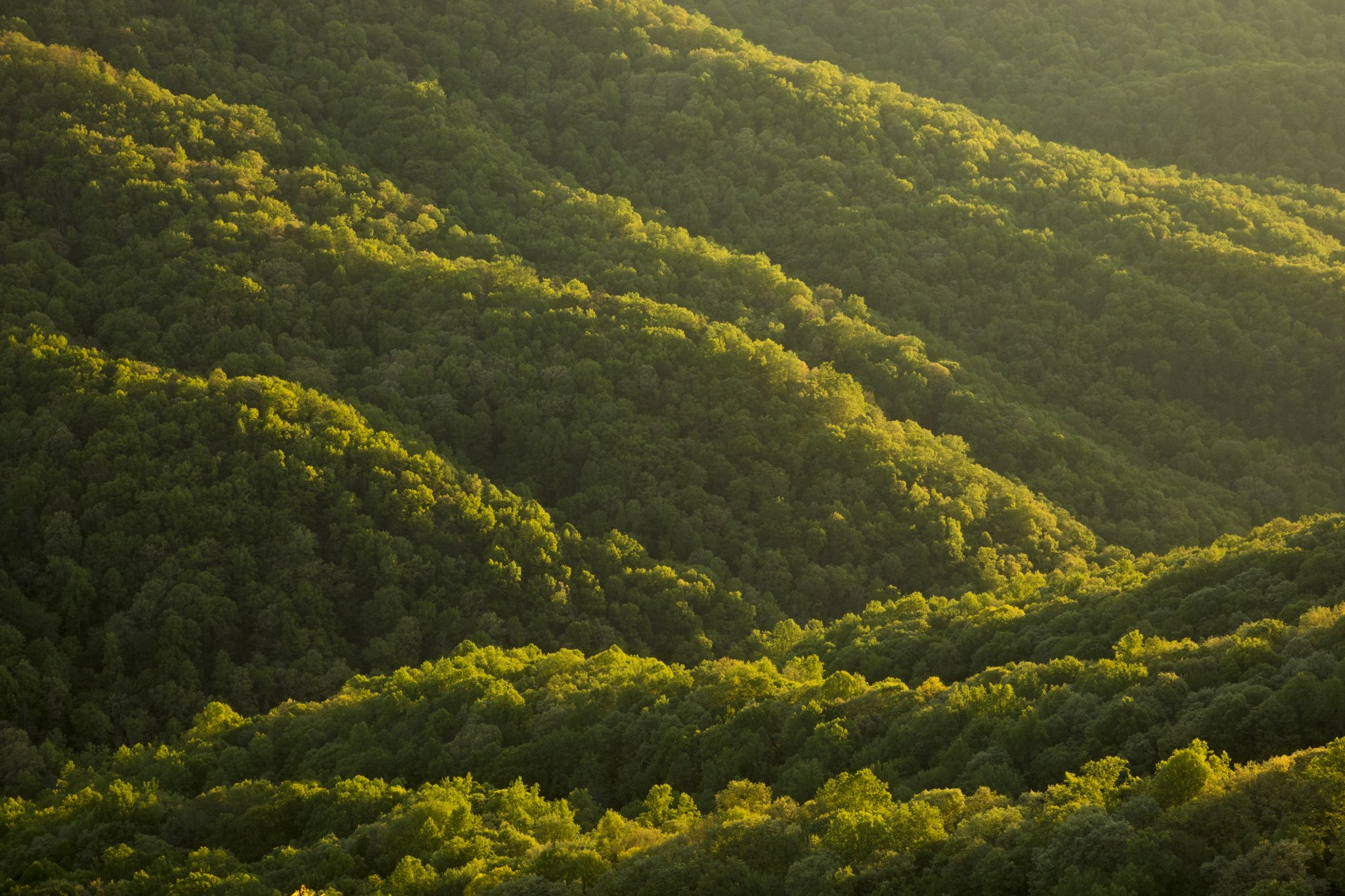 Rolling hills and cove forests in Jones Gap State Park