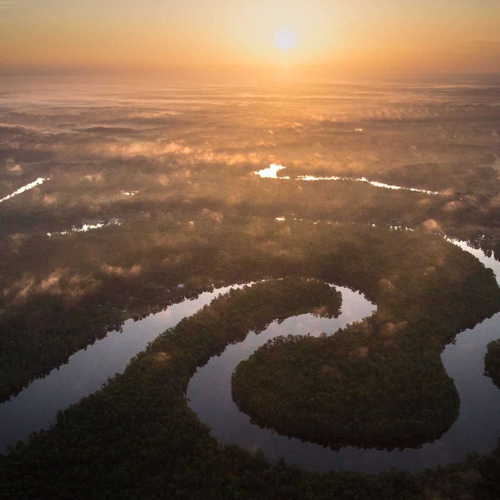 Overhead view of national forest and winding river