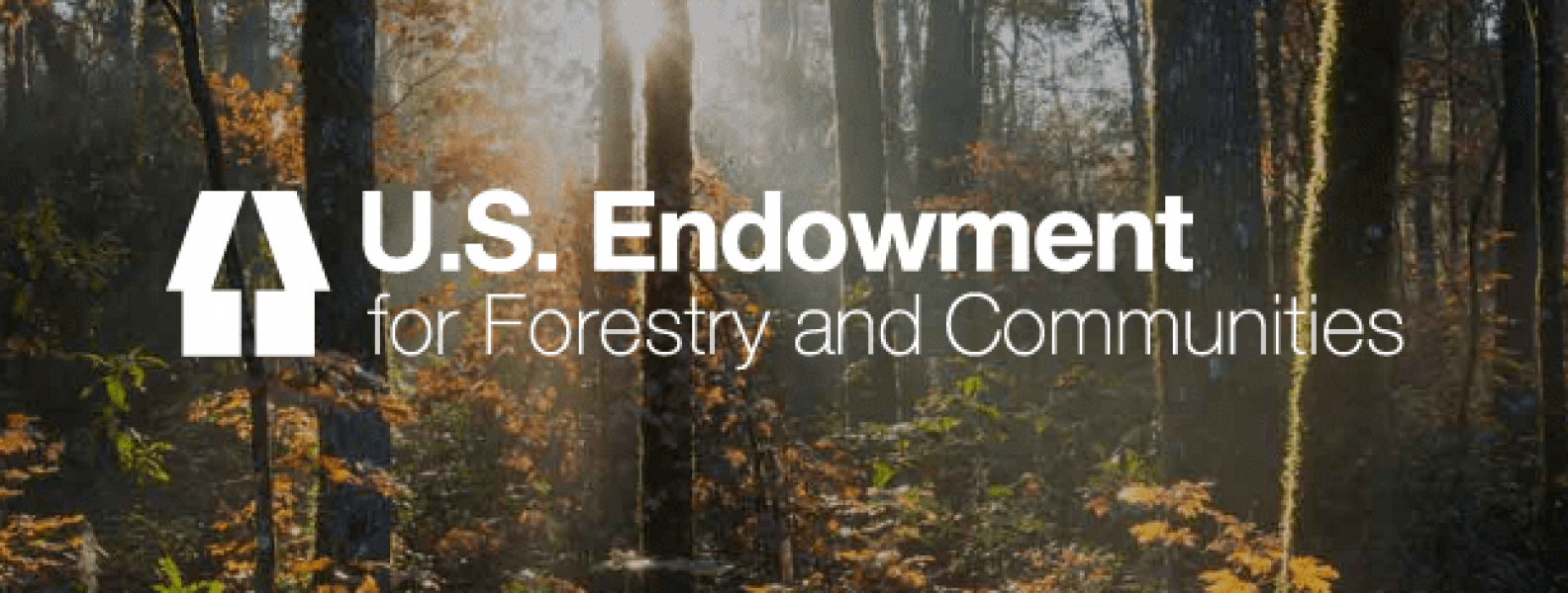 U.S. ENDOWMENT FOR FORESTRY AND COMMUNITIES LAUNCHES NEW WEBSITE